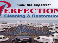 Perfection Services Overview
